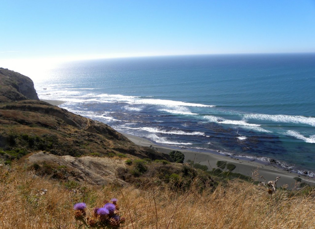 "נוף חוף הסלע צ'ילה"