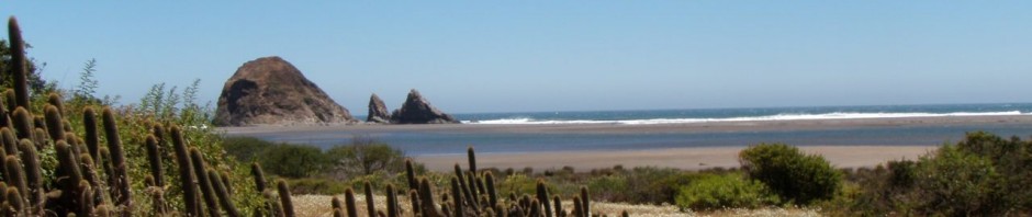 "נוף של חוף טופוקאלמה צ'ילה"